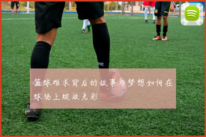 篮球难求背后的故事与梦想如何在球场上绽放光彩