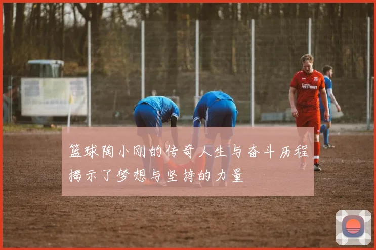 篮球陶小刚的传奇人生与奋斗历程揭示了梦想与坚持的力量