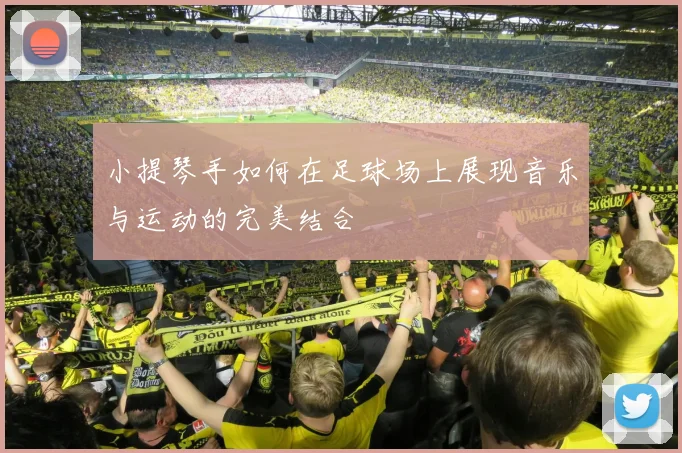 小提琴手如何在足球场上展现音乐与运动的完美结合